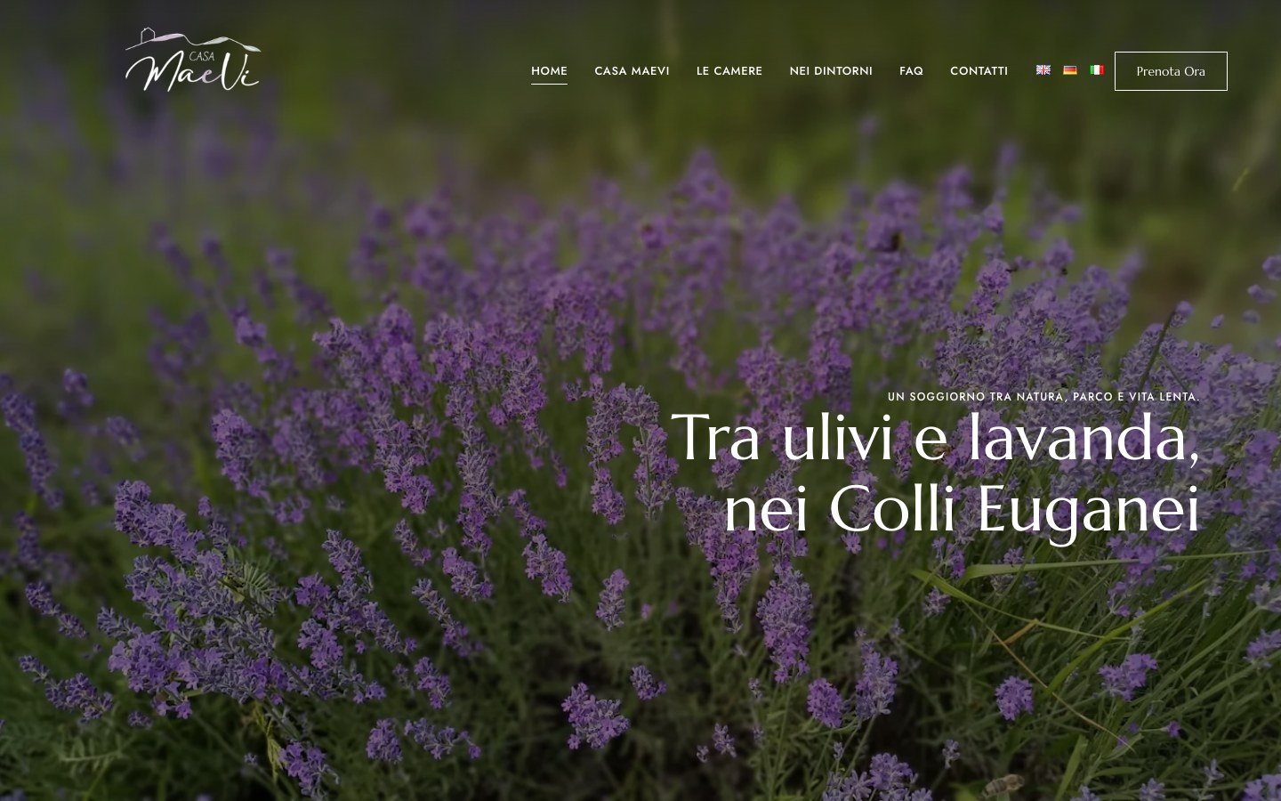 Home del sito Casa Maevi: tra ulivi e lavanda, nei Colli Euganei