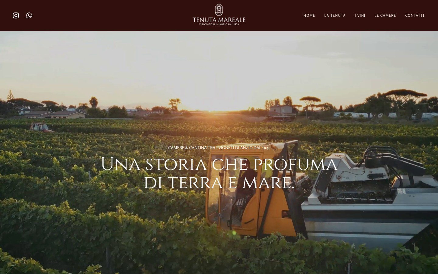 Home del sito Tenuta Mareale: una storia che profuma di terra e mare