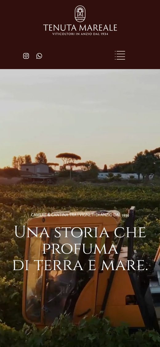 Home del sito da telefono