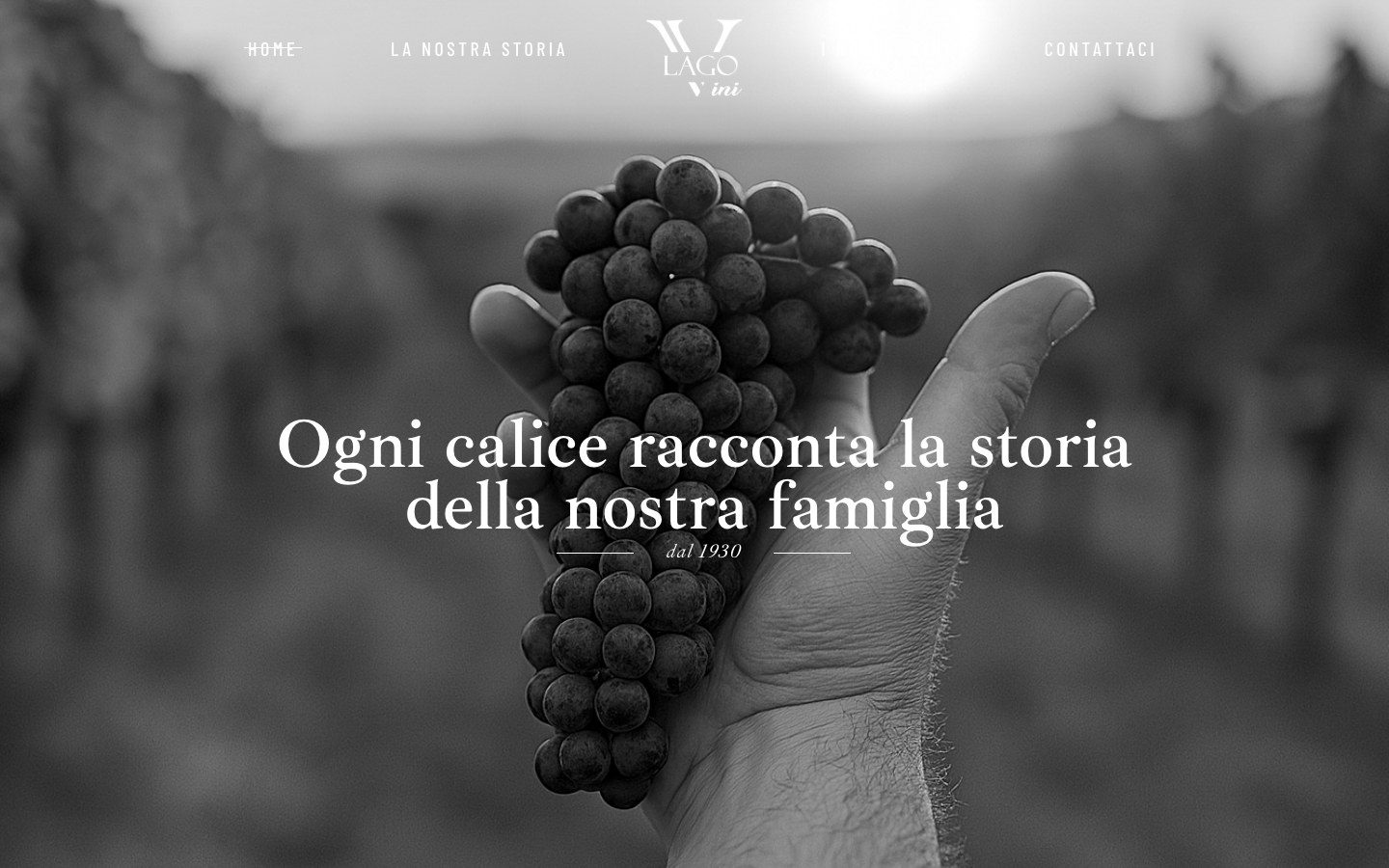 Home del sito Vinilago: ogni calice racconta la storia della nostra famiglia, dal 1930